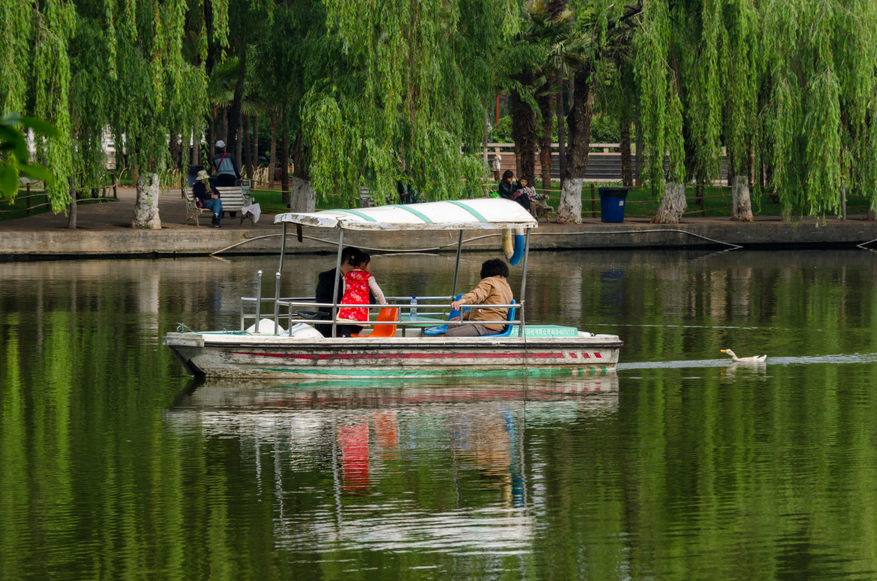 Green Lake Park in Kunming, with willows and a small boat